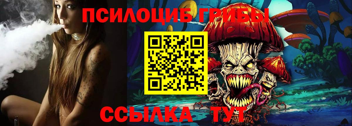 Донецк  Псилоцибиновые грибы Psilocybe  купить   Вход с VPN 