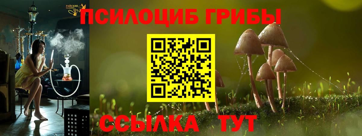 Галлюциногенные грибы Psilocybine cubensis Донецк